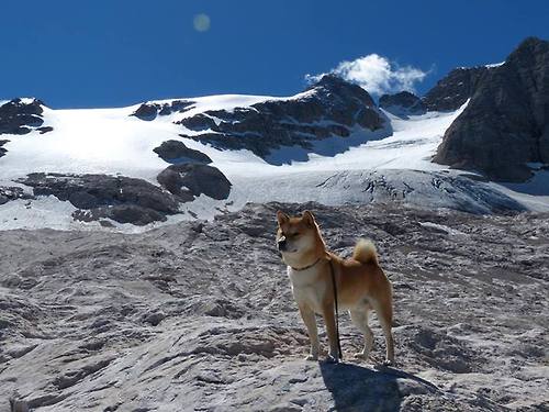 国际赛事背后的合作与竞争关系，国际赛事背后的合作与竞争关系有哪些
