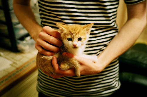 快速反击：北京队利用速度优势多次得分！，北京队赢了吗