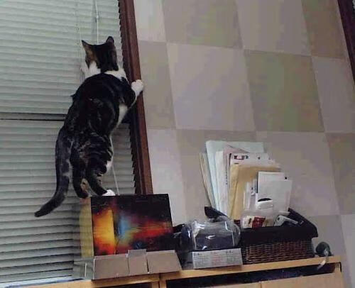 史上最“硬核”篮下争夺:他在攻防转换中的拼搏精神令人敬佩!